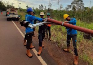 Tekan Potensi Gangguan pada Jaringan Listrik, PLN UP3 Ketapang Rutin Lakukan Pemeliharaan